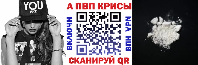 закладки Бакал А ПВП крисы CK