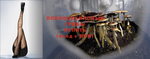 не бодяженный Каменногорск