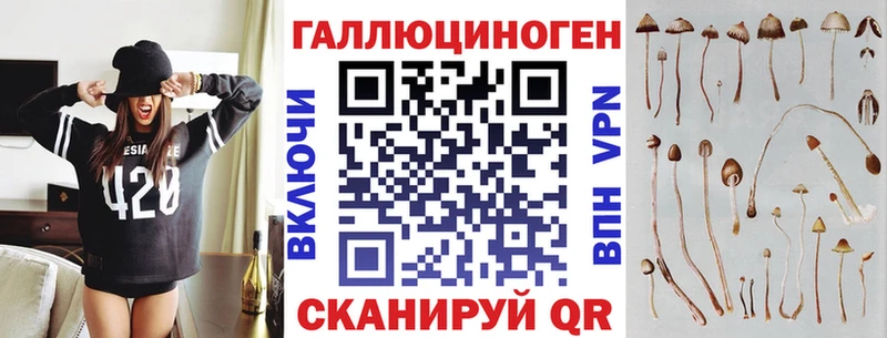 Галлюциногенные грибы Psilocybe  магазин продажи   Бакал 